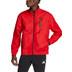 adidas België Anthem Jacket 2022/2023 4