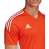 adidas Condivo 22 Trainingsset
