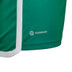adidas Algerije Uit Shirt Kids 2022/2023 4