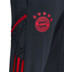 adidas Bayern München AW Jacket Tracksuit
