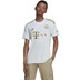 adidas Bayern München Uit Shirt 2022/2023 1