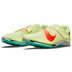Nike Air Zoom LJ Elite