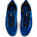Nike LeBron Witness 5