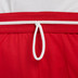 Nike Dri-Fit Basketball Shorts Men 5