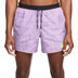 Nike DriFit Berlin Flex Short Men 1