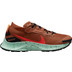 Nike Pegasus Trail 3 GTX Men 1