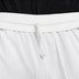 Nike Dri-Fit Basketball Shorts Men 5
