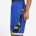 Nike Dri-Fit HBR Short Printed Short Men 3