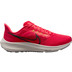 Nike Air Zoom Pegasus 39 Herren 1