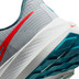 Nike Air Zoom Pegasus 39 Heren