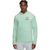 Nike Trail Kapuzenpullover Herren 1