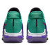 Nike LeBron Witness 6