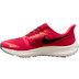 Nike AIR Zoom Pegasus 39 Flyease Herren