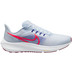 Nike AIR Zoom Pegasus 39 Herren 1