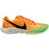 Nike Air Zoom Terra Kiger 6 Men