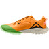 Nike Air Zoom Terra Kiger 6 Men