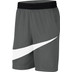 Nike Dri-Fit HBR Short 2