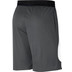 Nike Dri-Fit HBR Short 3