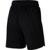 Nike Fly Short 2