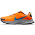 Nike Pegasus Trail 3 Herren 4