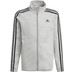 adidas Essentials Trainingsanzug Jungen