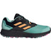 adidas TERREX Two Flow Herren