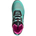 adidas TERREX Agravic Flow Herren