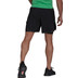 adidas Adizero 2in1 Short Herren 2