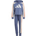 adidas Big Logo Trainingspak Women