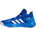 adidas Pro N3XT