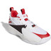 adidas Dame Certified