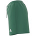 adidas Parma 16 Shorts Women
