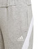 adidas Hooded Trainingspak Girls