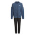 adidas Hooded Trainingspak Boys
