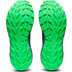 ASICS GEL-Trabuco Terra Herren 6