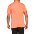 ASICS Silver Shirt Herren 2