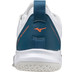 Mizuno Ghost Shadow