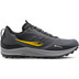 Saucony Peregrine 12 GTX Men