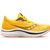 Saucony Endorphin PRO 2 Damen 1
