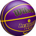 Wilson NBA Player Icon Outdoor 2