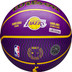 Wilson NBA Player Icon Outdoor 6