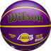 Wilson NBA Player Icon Outdoor 7