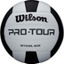 Wilson Pro Tour