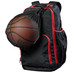 Wilson Basketbal Net