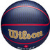 Wilson NBA Player Icon Outdoor 5