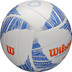 Wilson AVP Modern Beach