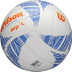 Wilson AVP Modern Beach