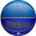 Wilson NBA Player Icon Outdoor 5