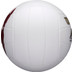 Wilson Castaway