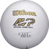 Wilson Castaway